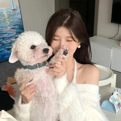 芝特拉 海报
